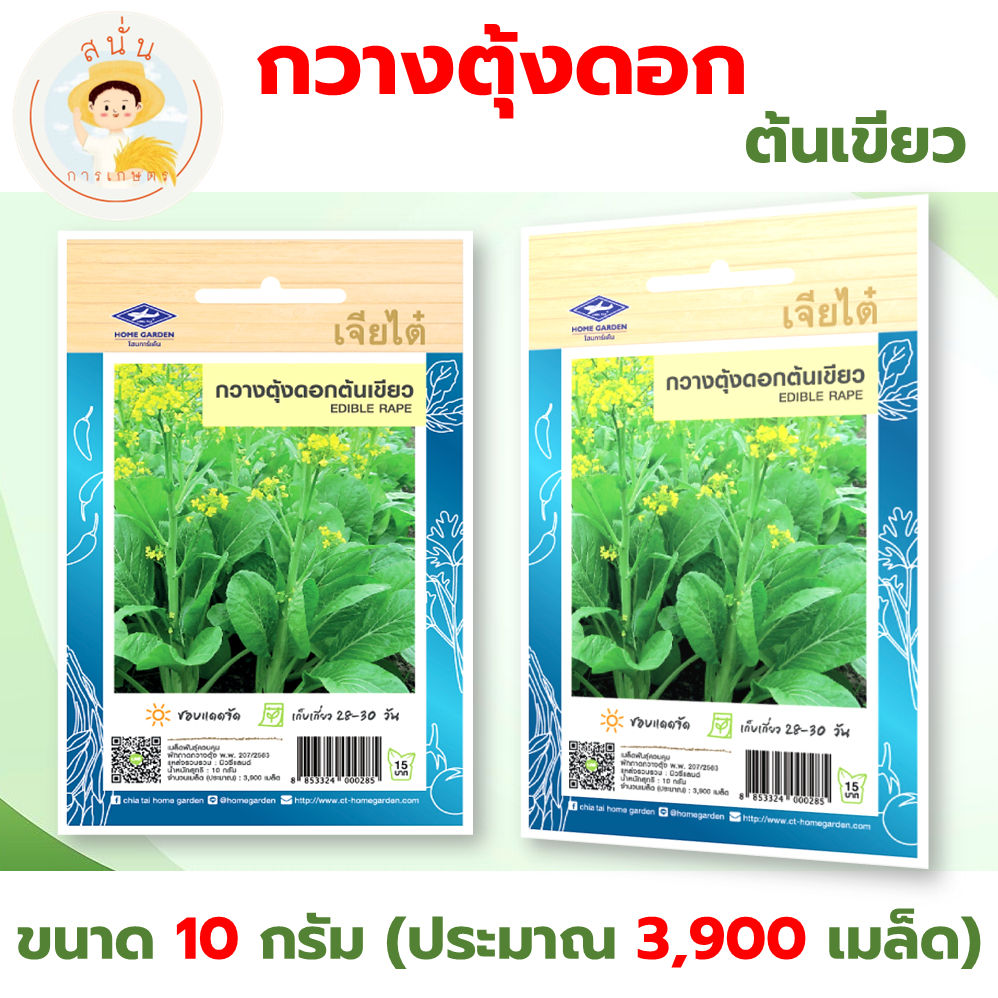 เมล็ดพันธุ์ กวางตุ้งดอกต้นเขียว (Edible Rape) ผักซอง เจียไต๋ OP ขนาด 10 กรัม (ประมาณ 3,900 เมล็ด)