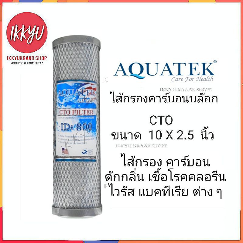 ไส้กรองคาร์บอน ดักกลิ่นตะกอนสารเคมี  เชื่อโรคแบคทีเรีย ไวรัส  CTO  Carbon   10 นิ้ว