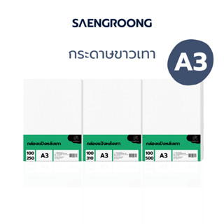 Saengroong กระดาษแข็ง ขาวเทา ขนาด A3 100แผ่น/แพ็ค