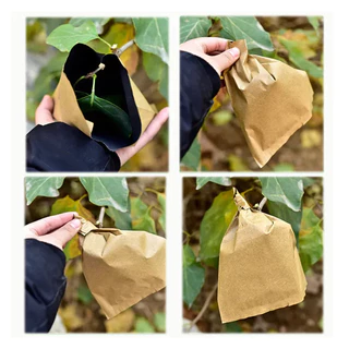 【จัดส่งฟรี】ถุงห่อผลไม้ ทีเอบี ขนาด 20x30 ซ.ม. จำนวน 100 ใบ ถุงห่อมะม่วง ถุงคาร์บอน ทีเอบี ป้องกันแมลงวันทอง ช่วยให้ผลไม้