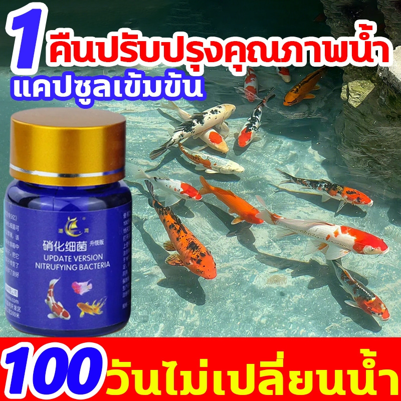 จำเป็นสำหรับการเลี้ยงปลา จุลินทรีย์บ่อปลา จุลินทรีย์ปรับสภาพน้ำ จุลินทรีบ่อปลา เสริมแร่ธาตุและเอนไซม์ ปรับปรุงคุณภาพน้ำ