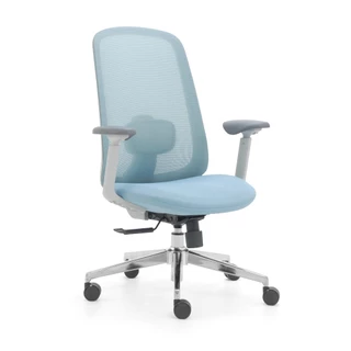 Perfect เก้าอี้ทำงาน รุ่น VARIETY เก้าอี้ทำงานเพื่อสุขภาพ Ergonomic Chair เก้าอี้เพื่อสุขภาพ เก้าอี้คอม เก้าอี้