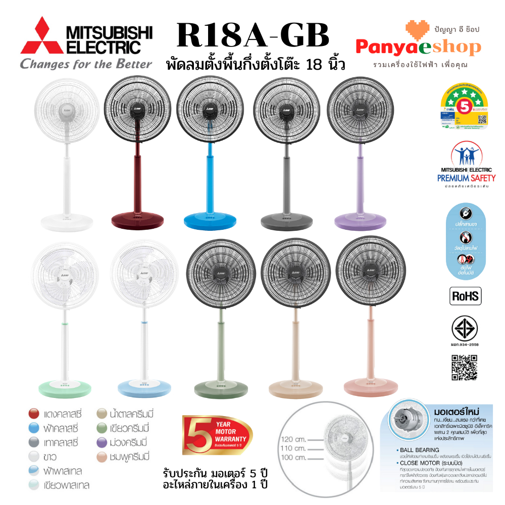 รูปภาพ 3