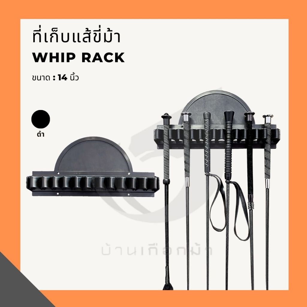ที่เก็บแส้ขี่ม้า WHIP RACK