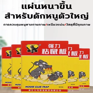 กาวดักหนู กาวดักหนูหนาพิเศษ 50แผ่น ถาดใหญ่เหนียวแน่น ไร้สารพิษ ใช้งานง่าย สำหรับบ้านและที่พักอาศัย