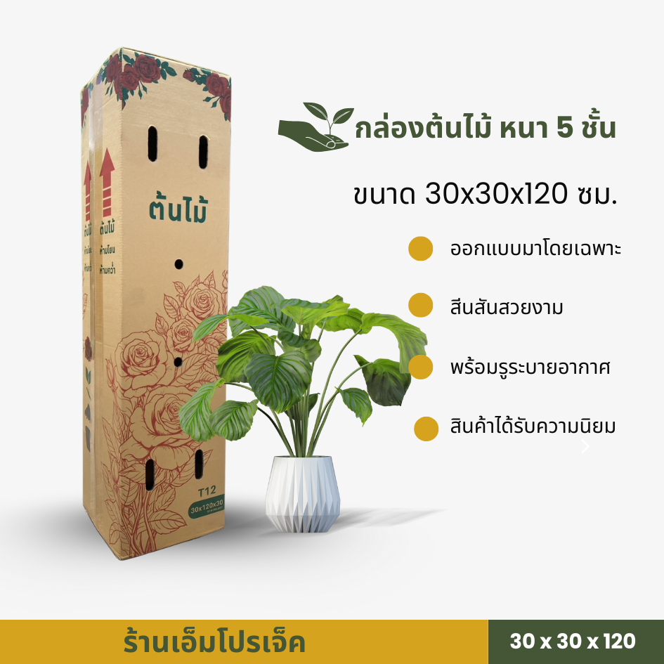 กล่องต้นไม้ 5 ชั้น ขนาด 30x30x120 - 150 Cm. ( แพ็ค 10 ใบ ) มี3 ขนาดให้เลือก