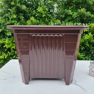 ถูกและหนา‼️กระถางเหลี่ยมทรงโรมัน(ทรงสูง)มีขา หนา 7"/10"/14" ❌️กระถางกับจานขายแยกค่ะ❌️ สีขาวครีม/เทา/ดำ/อิฐ
