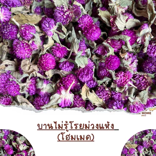 ดอกบานไม่รู้โรยม่วงโฮมเมด ดอกบานไม่รู้โรยม่วง บานม่วง อาหารเสริมสำหรับนกแก้ว