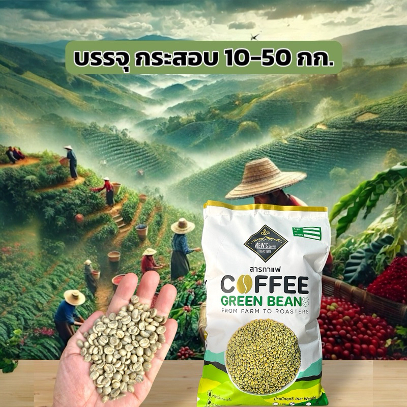 สารการแฟ ดอยช้าง Honey Process