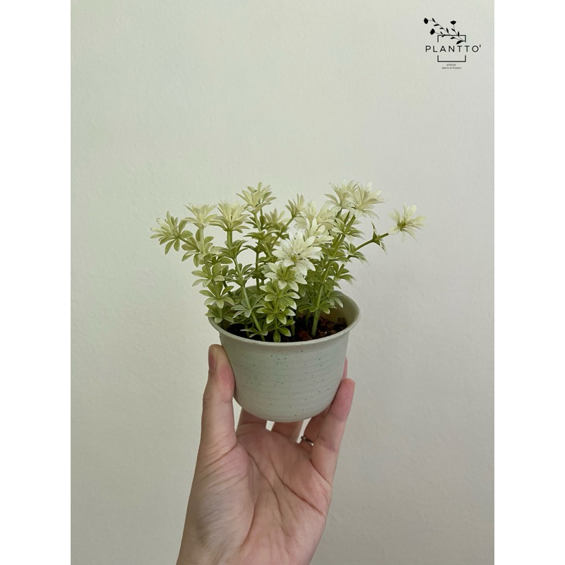 ต้นไม้ปลอม Mini Flower Serie พร้อมกระถางพลาสติก 7 cm