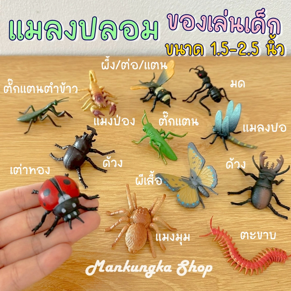 (1.5-2.5 นิ้ว) แมลงปลอม แมลงมีปีก ของเล่นปลอม สัตว์ปลอม ของเล่นแกล้งคน ของเล่นเด็ก [8]