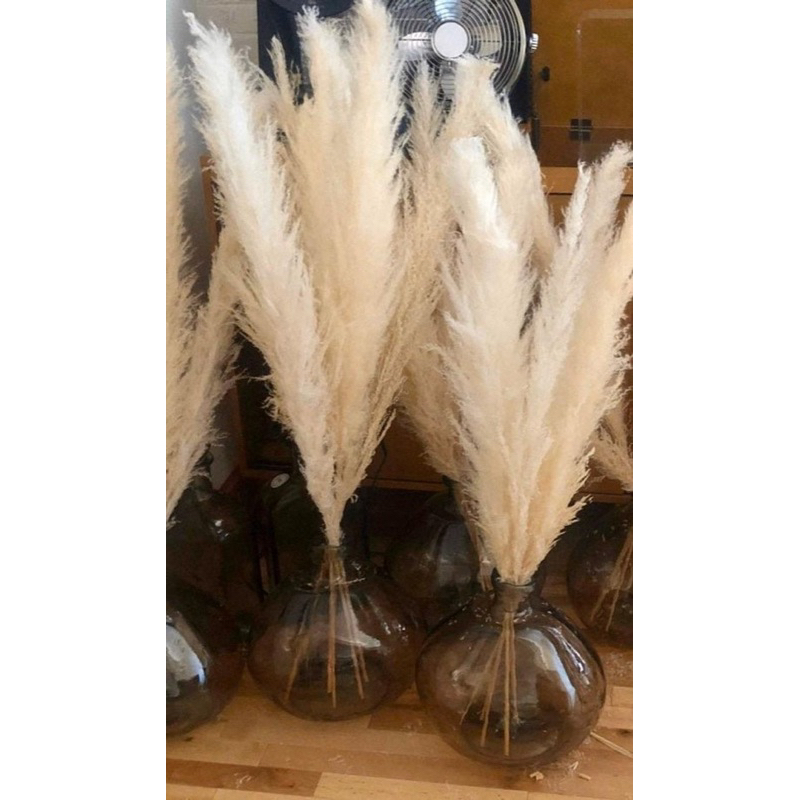 หญ้าเลา แพมพัส ดอกไม้แห้ง ราคาต่อ1ก้าน ราคาเริ่มต้นก้านละ 10 บาท พร้อมส่งจาก กทมเลยจ้า ราคา ถูกที่สุด ดีลบีเคเค แกลเลอรีภาพที่ 4