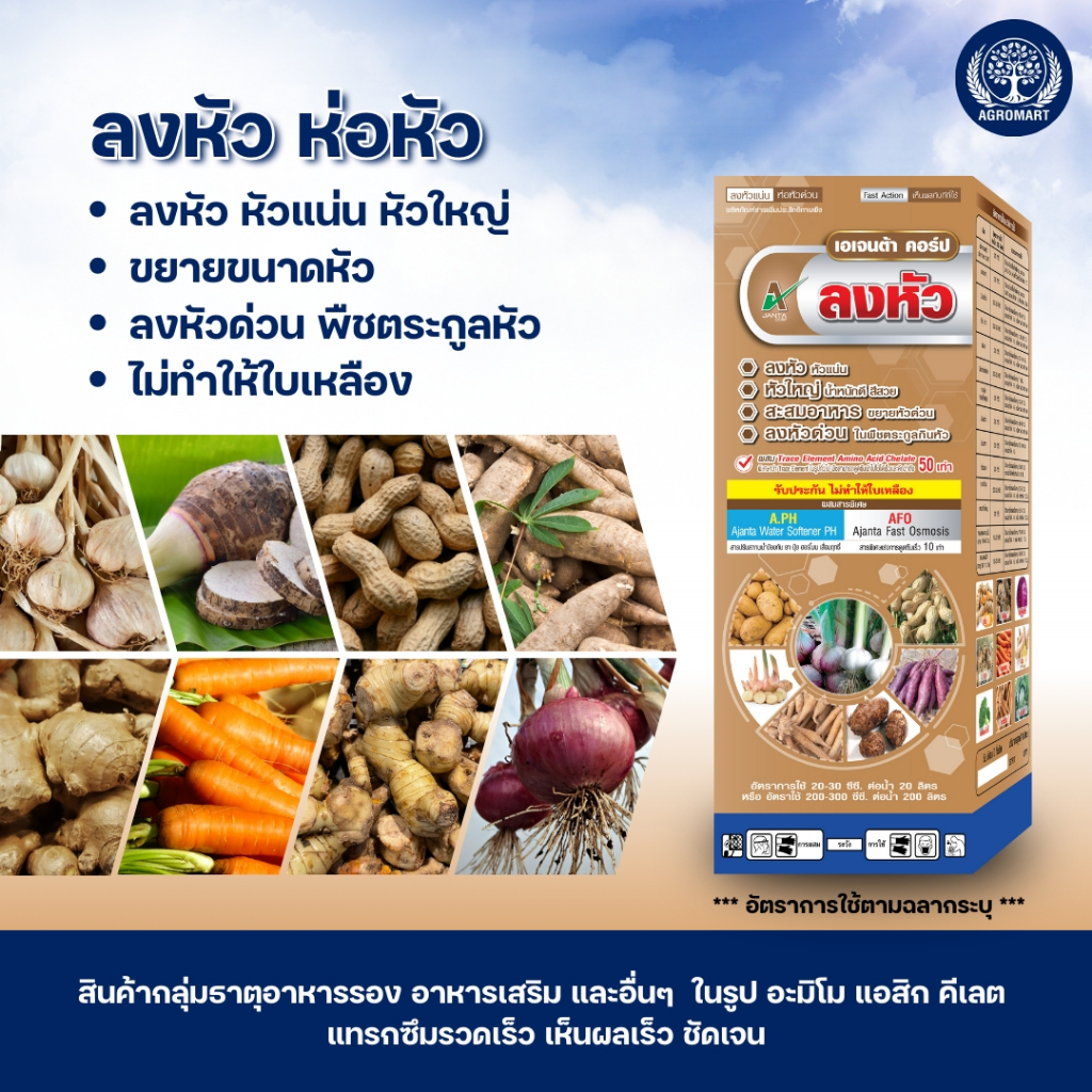 ลงหัว ห่อหัว สูตรพิเศษ ไม่ทำให้ใบเหลือง หัวใหญ่ หัวแน่น น้ำหนักดี ปุ๋ยทางใบ เร่งลงหัว (1 ขวด)