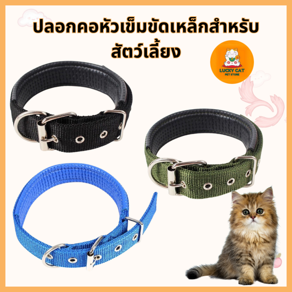 ปลอกคอสัตว์เลี้ยงแบบไนลอนคอตตอนพร้อมหัวเข็มขัดโลหะสำหรับสุนัขตัวเล็กและตัวใหญ่