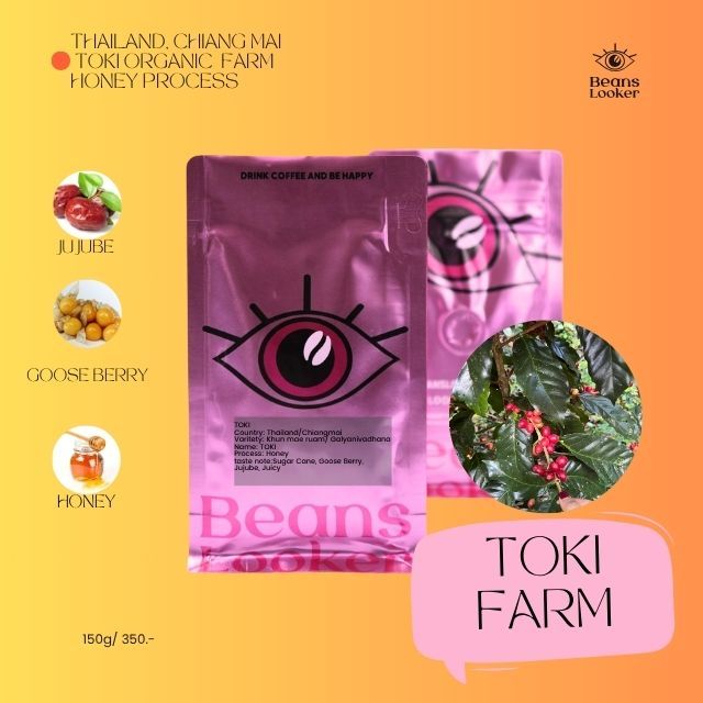 THAILAND TOKI FARM HONEY PROCESS