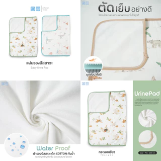Papa แผ่นรองปัสสาวะ แผ่นรองกันเปื้อน รุ่น ST035/CEQ09-014/PRA345A-C/CEQTD001 ผ้ารองฉี่เด็ก