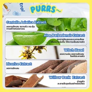 [ส่งฟรี] Purrs (My Paws) น้ำยาเช็ดคางแมว ขจัดคราบมันต้นเหตุการเกิดสิวแมว ขนาด 100ml