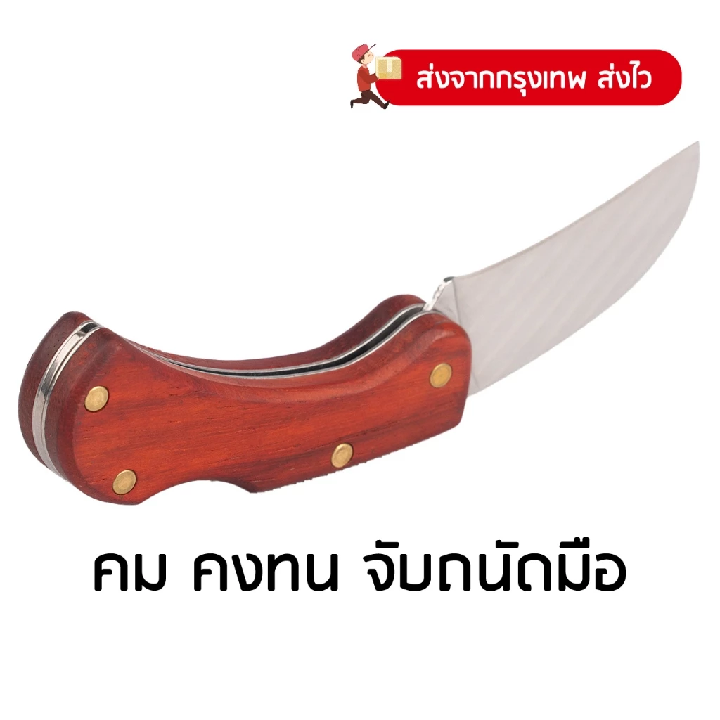 มีดทำสวน มีดตัดทุเรียน ปากโค้ง พับได้ ด้ามไม้อย่างดี 6 นิ้ว Champion