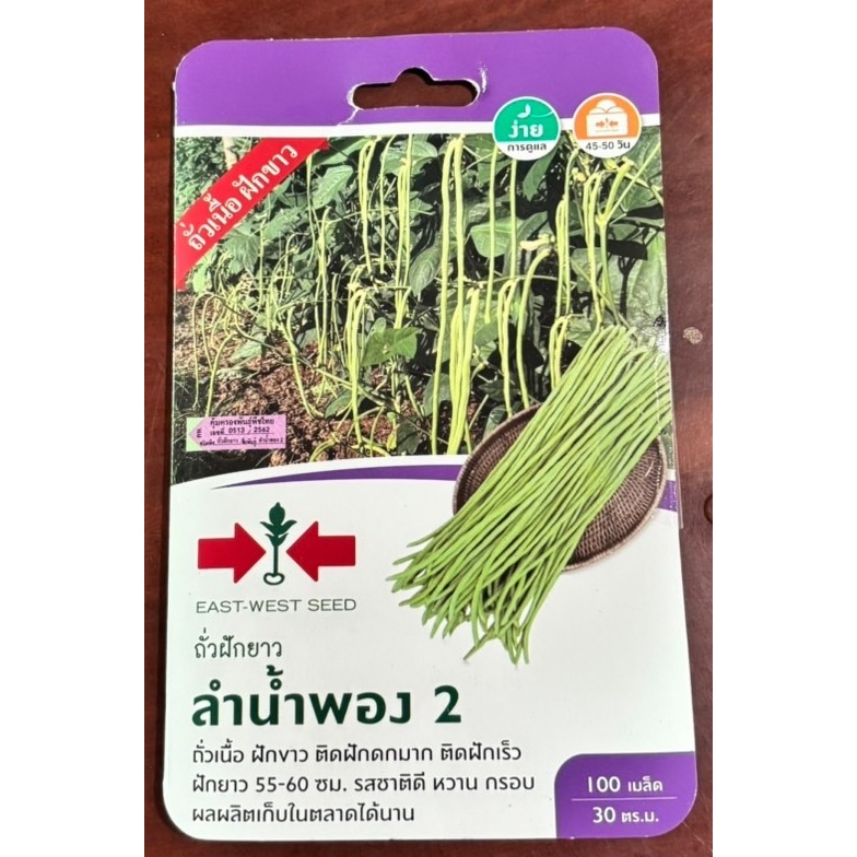 ถั่วฝักยาว ลำน้ำพอง2 ผักซองกระดาษศรแดง ถั่วเนื้อ ฝักขาว
