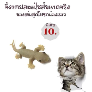 ASHIจิ้งจกปลอม จิ้งจกตาดำ เหมือนจริง รูปร่างและสีสันค่อนข้างจะเหมือนจิ้งจกจริง