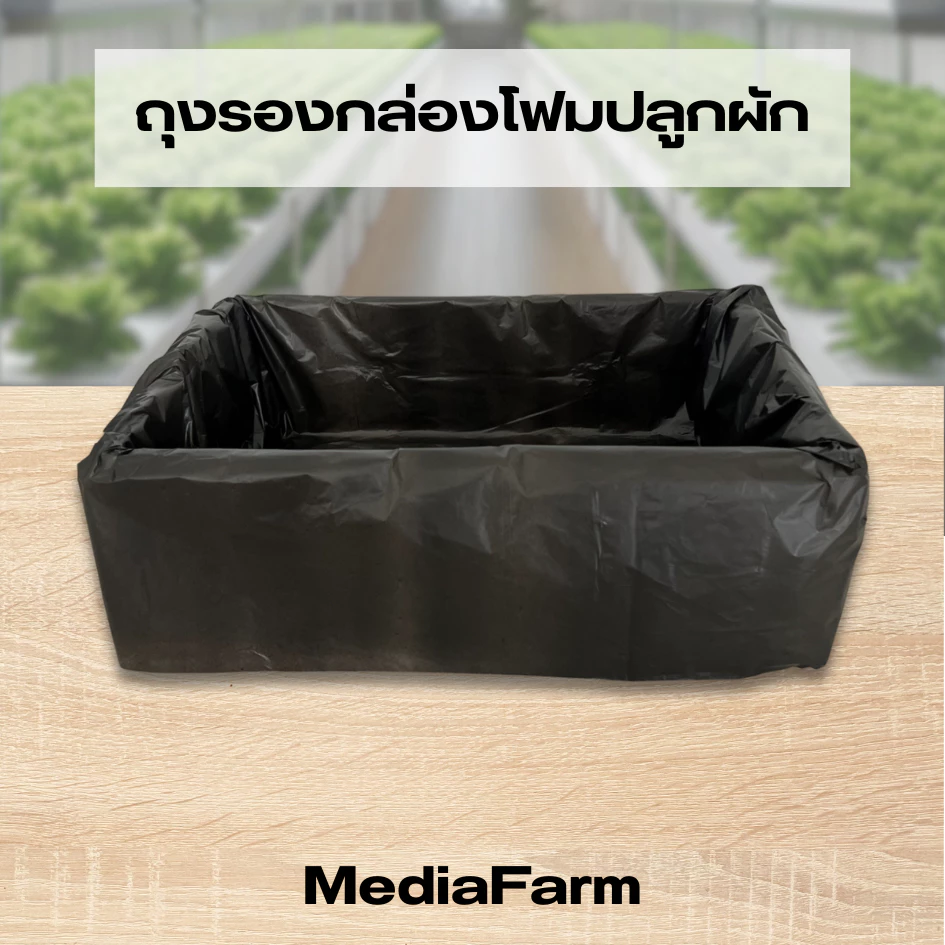 ถุงรองกล่องโฟม ถุงดำรองกล่องโฟม ถุงรองกล่องโฟมปลูกผัก