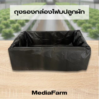 ถุงรองกล่องโฟม ถุงดำรองกล่องโฟม ถุงรองกล่องโฟมปลูกผัก