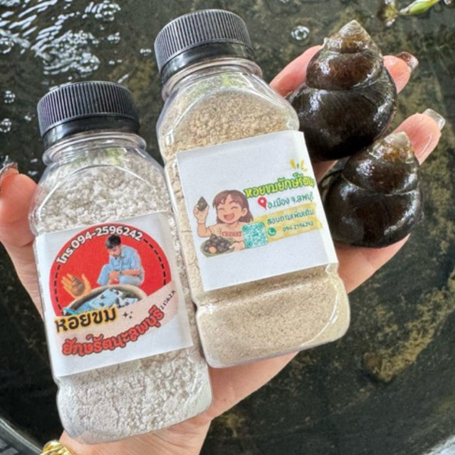 รูปภาพ 2