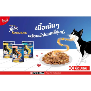 Felix อาหารเปียกแมว ทุกรส 85g. 1ลัง (24ซอง)