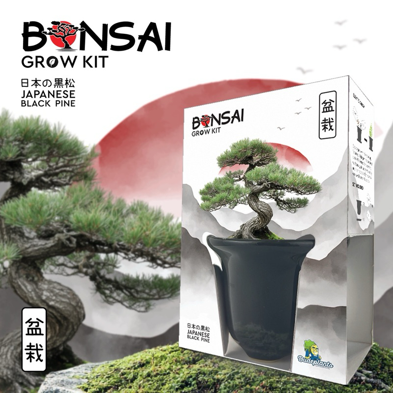 ชุดปลูกบอนไซ Grow kit: S Bonsai