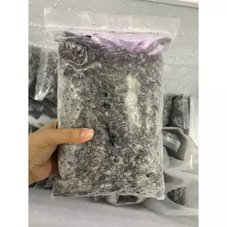 จิ้งหรีดไข่ แมลงแช่แข็ง สำหรับสัตว์เลี้ยง