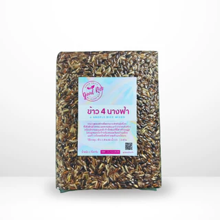 ข้าวสาร ข้าว4นางฟ้า 4Mixed Rice เหนียวดำ ไรซ์เบอรี่ กล้อง ตรา Good Rice by Glory Rice 1 กิโลกรัม