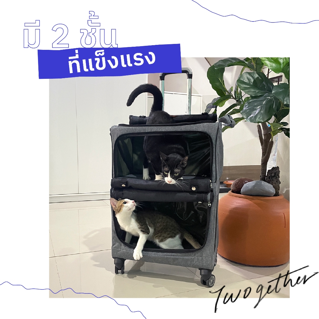 jaywa กระเป๋าแมว2ชั้นล้อลาก  ตัดปัญหาพาแมวคู่กัดไปหาหมอพร้อมกัน แข็งแรงทั้ง 2 ชั้น เพิ่มความสะดวก