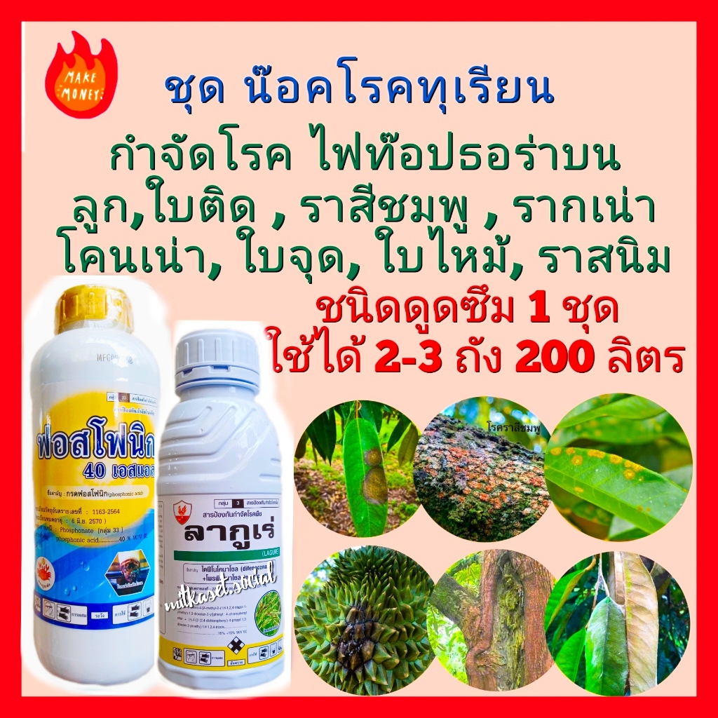 ยากำจัดเชื้อราทุเรียน ยาทุเรียน กรดฟอสโฟนิค กรดฟอสโฟนิก แกรนด์ฟอส 1ลิตร+ ลากูเร่  500cc ใบติด รากเน่า ชุดน๊อคโรคทุเรียน