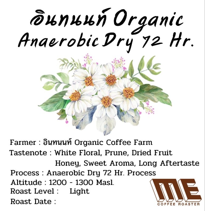 เมล็ดกาแฟอินทนนท์ Organic Anaerobic Dry 72Hr.Process หอมดอกไม้สีขาว,ลูกพรุน