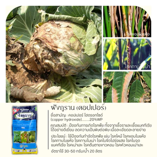 💥💥 สินค้ายกลัง 💥💥 ฟังกูราน 1กิโลกรัม*12ถุง (คอปเปอร์-ไฮดรอกไซด์77%WP) ป้องกันเชื้อราและแบคทีเรีย