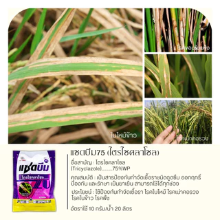💥💥 โปรโมชั่น 💥💥 แซดบีม75 100กรัม*10ซอง (ไตรไซคลาโซล) กำจัดเชื้อรา โรคไหม้ ใบเหลือง โรคไหม้ในนาข้าว