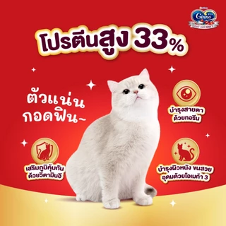 [เลือกรสชาติได้] Unicharm Ginno Cat Dry Food กินโนะ อาหารเม็ดแมวแบบแห้ง สำหรับแมวอายุ 1 ปีขึ้นไป 1.4 กิโลกรัม