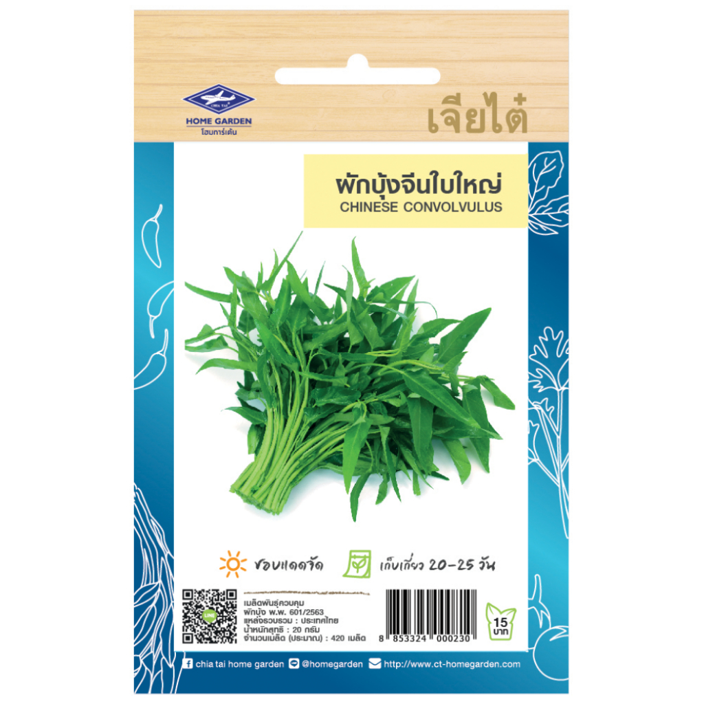 เมล็ดพันธ์ ผักบุ้งจีนใบใหญ่