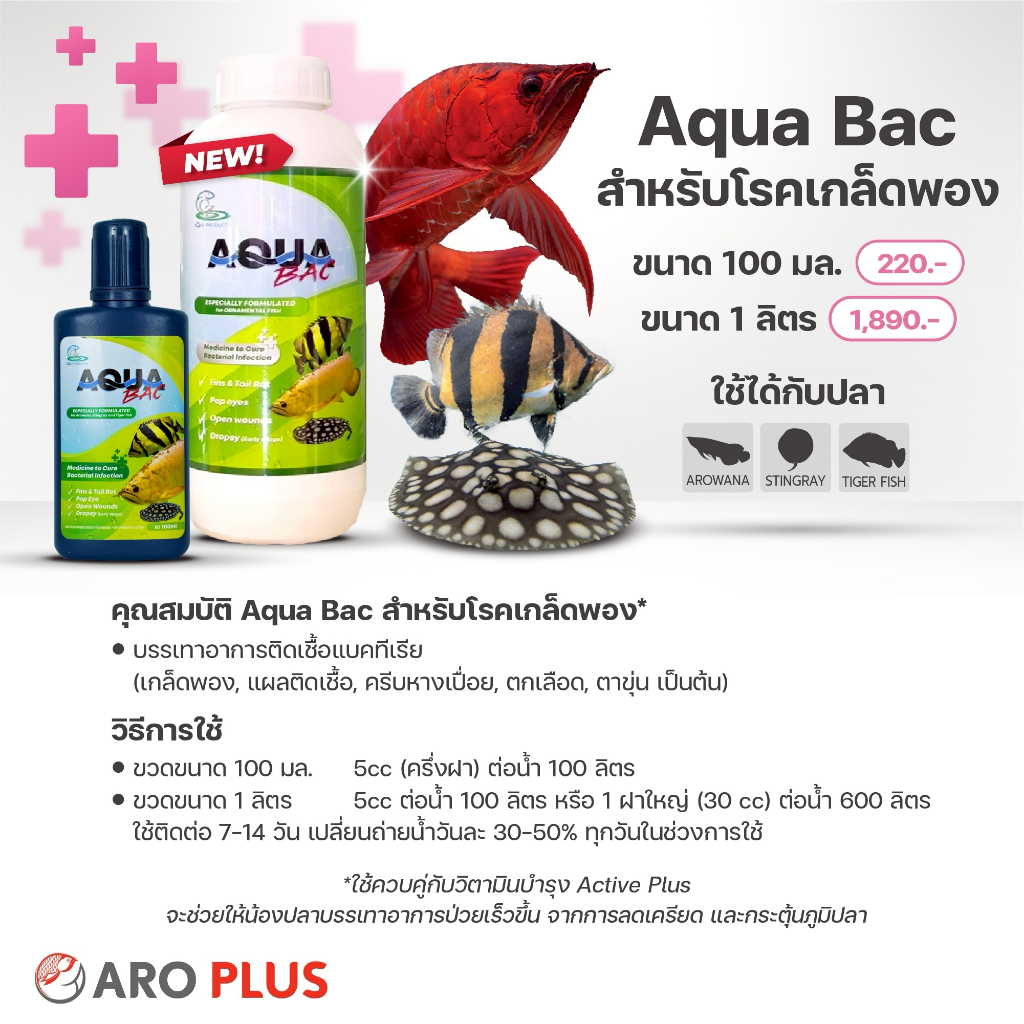 Aqua Bac : ใช้กับปลามังกร ปลากระเบน ปลาเสือตอ