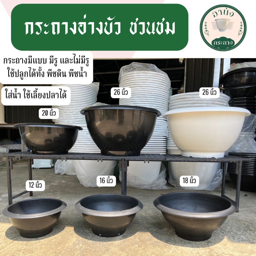 อ่างบัว กระถางชวนชม ขนาด 26 นิ้ว 20 นิ้ว 18 นิ้ว 16 นิ้ว 12 นิ้ว ปากเรียบ ผิวเงา พลาสติกหนา ไม่มีลาย