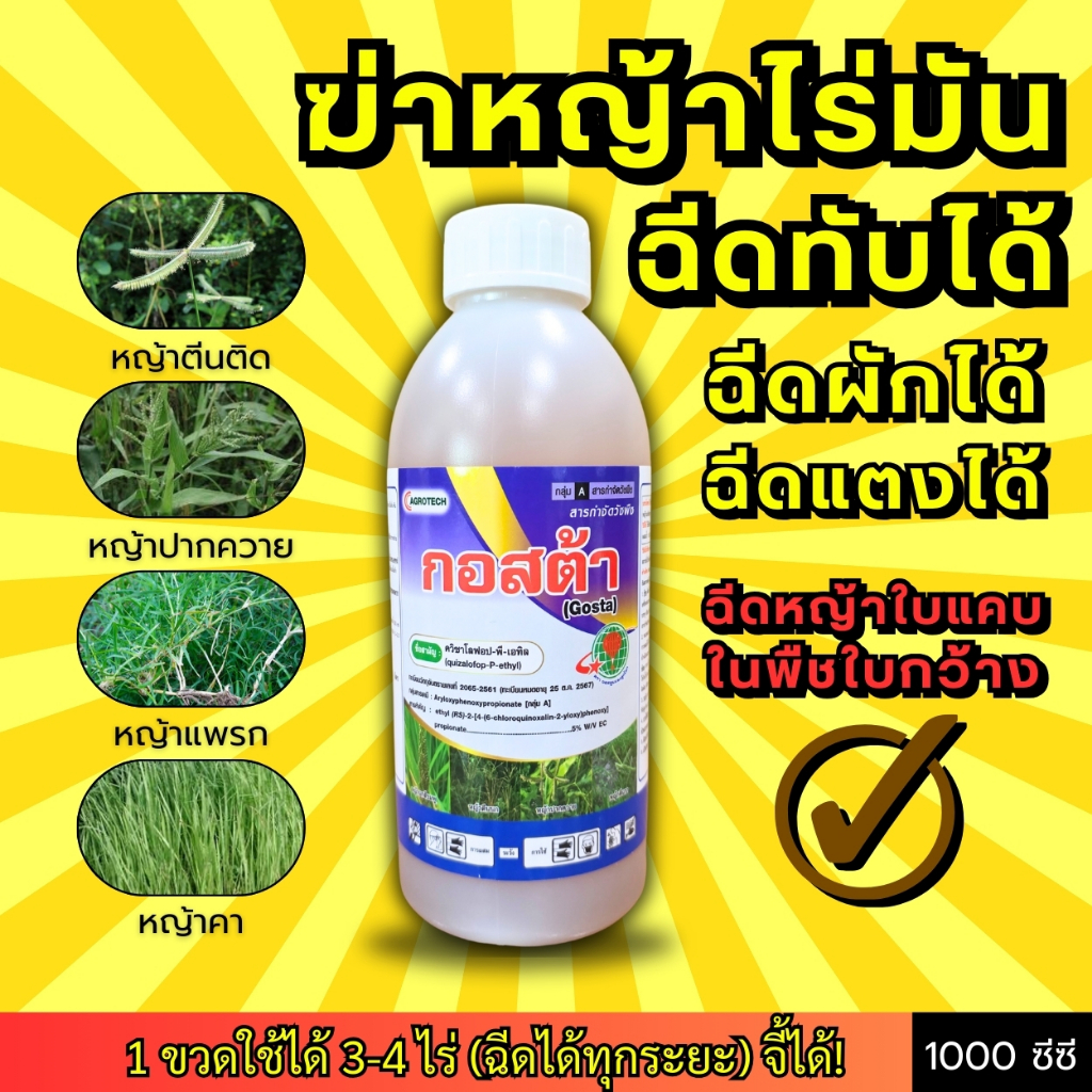 กอสต้า กำจัดวัชพืชใบแคบ ฉีดทับมันได้ หญ้าตีนติด หญ้าปากควาย หญ้าแพรก หญ้าคา สวนผัก สวนแตง ใช้ได้ (ฉีดได้ทุกระยะ) 1 ลิตร