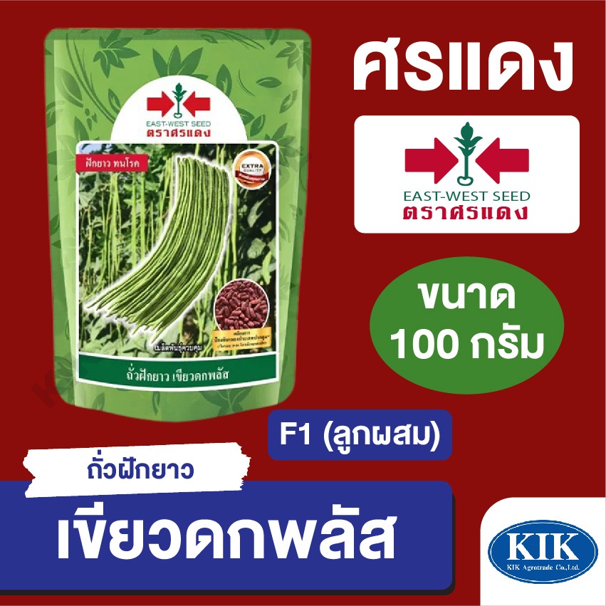 เมล็ดพันธุ์ ศรแดง BIG ถั่วฝักยาวเขียวดกพลัส EBS (ซอง) ขนาด 100 กรัม