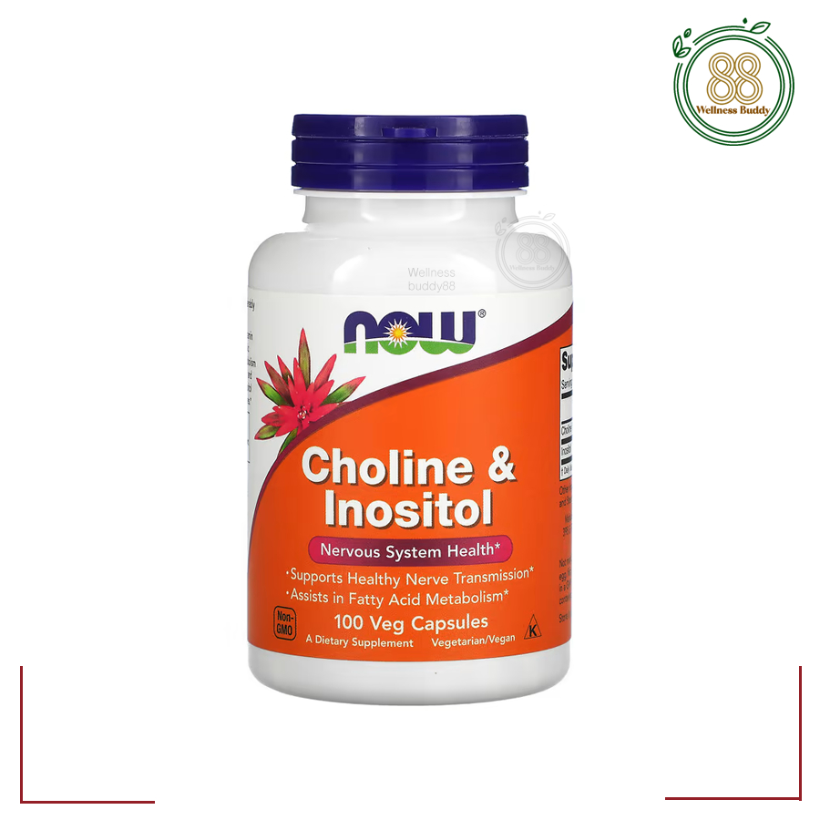 NOW Foods, Choline & Inositol, 100 Veg Capsules