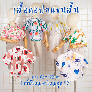 เสื้อคอปกแขนสั้น เด็ก 1 ขวบจนถึงผู้ใหญ่อกใหญ่สุด 52นิ้ว เสื้…