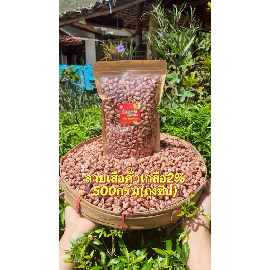 Giถั่วลายเสือแม่ฮ่องสอน สูตรคั่วเกลือ2% กรอบร่วน หอมหวาน ต้นตำรับจากแม่ฮ่องสอน