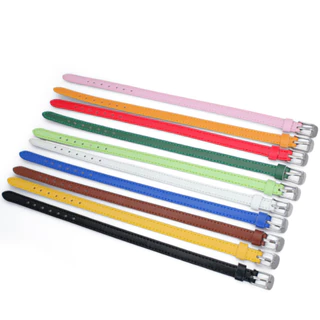 PP-545 ปลอกคอสัตว์เลี้ยง สำหรับแมว หมา สุนัข สีสันน่ารัก ปรับขนาดได้ พร้อมส่ง