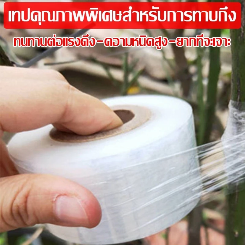 เทปพันกิ่งไม้ 3cm x 200m อุปกรณ์ตอนกิ่ง ทำสวน thumbnail 10