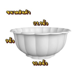 กระถางอ่างจีบบัว 21นิ้ว อ่างบัว กระถางเลี้ยงปลา สีขาวและสีดำ