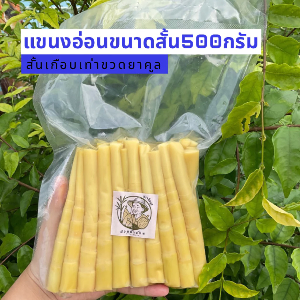 ☘️แขนงต้มอ่อนๆ*แบบสั้นสุดๆ* แบบพรีเมียม/แพคสูญญากาศ500กรัม