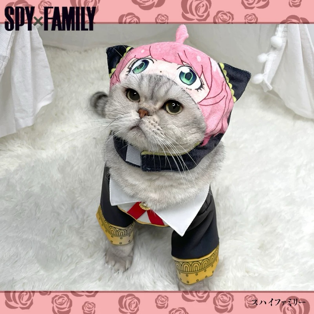 🌸cosplay_by_ellie🌸 พรีออเดอร์25-30วัน💗 ชุดคอสเพลย์แมวอาเนีย ชุดแมว spyxfamily cosplay Anya forgercos